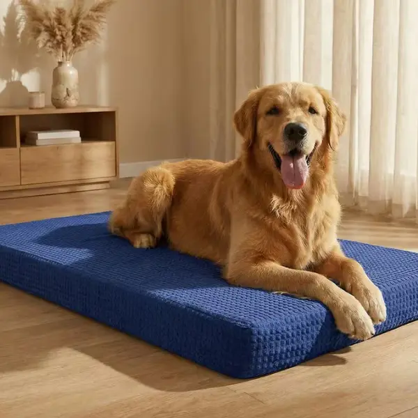 Premium Orthopedic Dog Bed